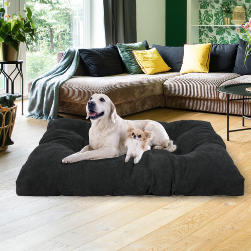 Puppy cushion best sale